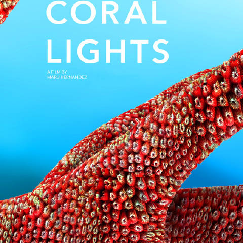 Coral Lights
